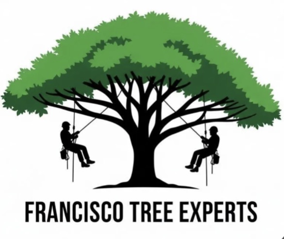 Francisco Tree Experts